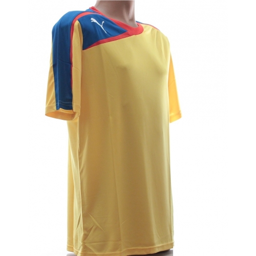 Tricou Puma Spirit 2